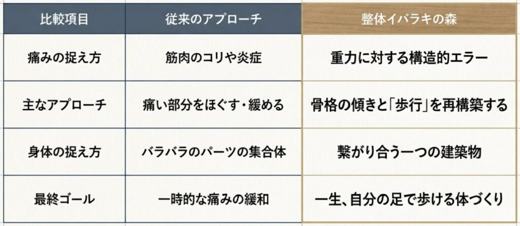 腰痛に対する整体イバラキの森と他院の考え方の違い