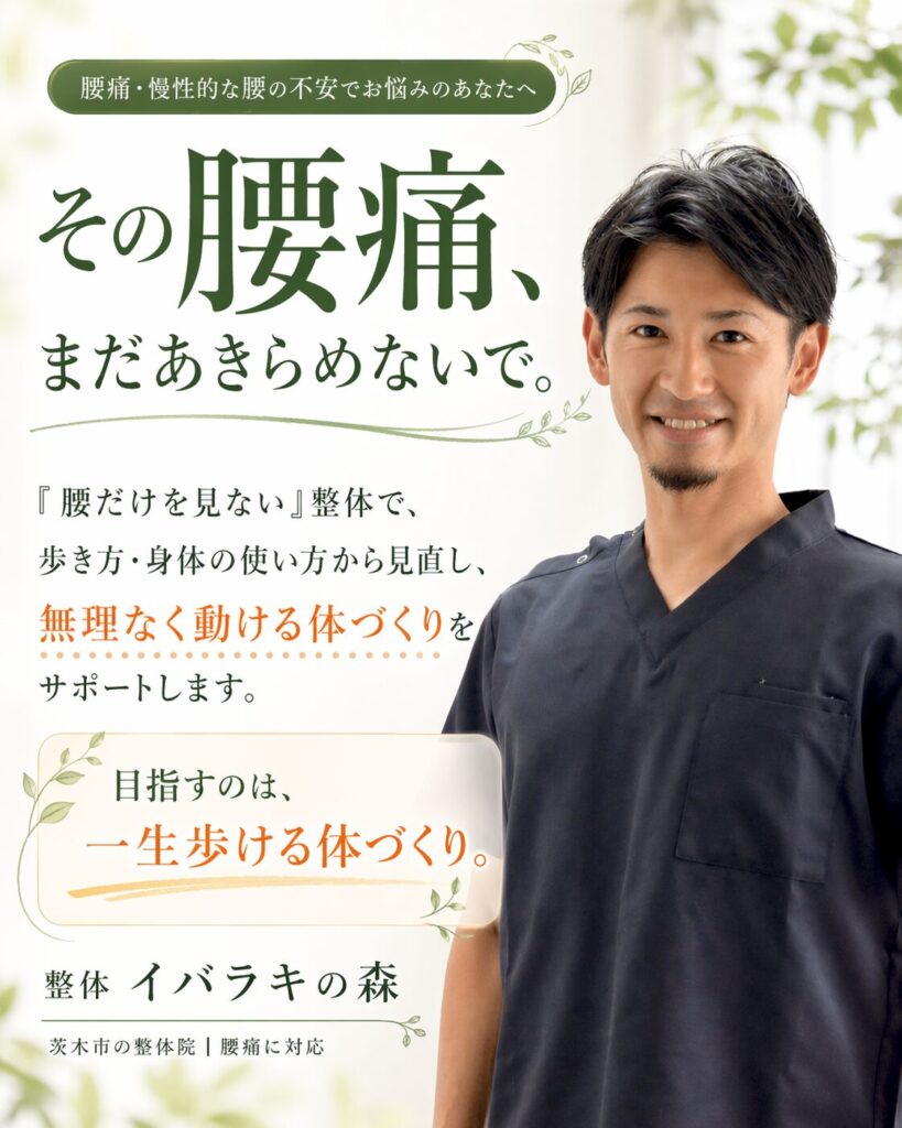 慢性的な腰痛に悩む方へ向けた整体イバラキの森の案内画像。歩き方や体の使い方から見直し、負担の少ない体づくりをサポートする整体。