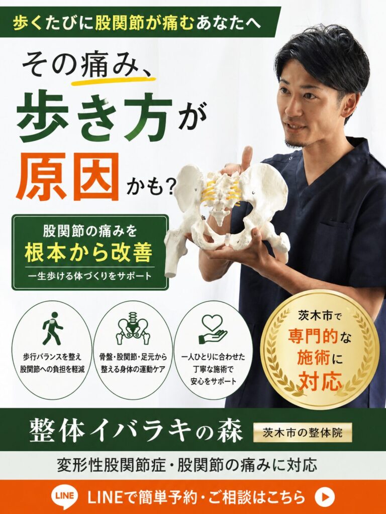 股関節の痛みや変形性股関節症に悩む方へ向けた整体イバラキの森の案内画像。骨盤や歩き方から整え、負担の少ない体づくりをサポートする整体を表現。